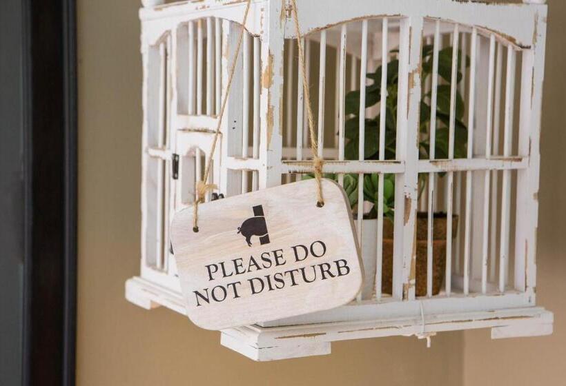 בית מלון כפרי The Curious Pig In The Parlour