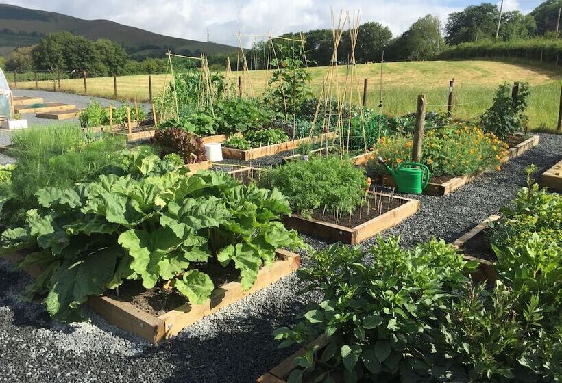 בית מלון כפרי The Royston