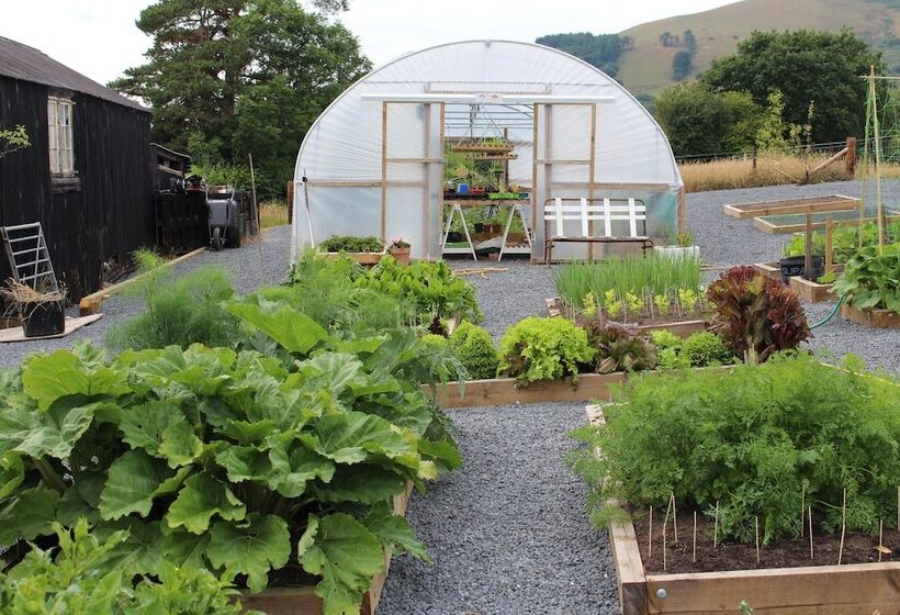 בית מלון כפרי The Royston