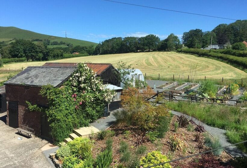 בית מלון כפרי The Royston