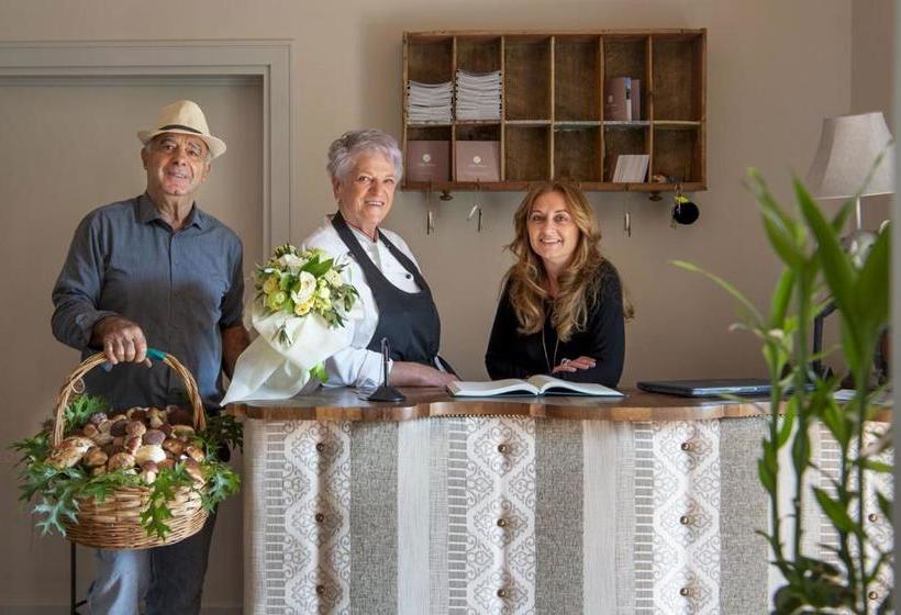 Отель Villa Zelma