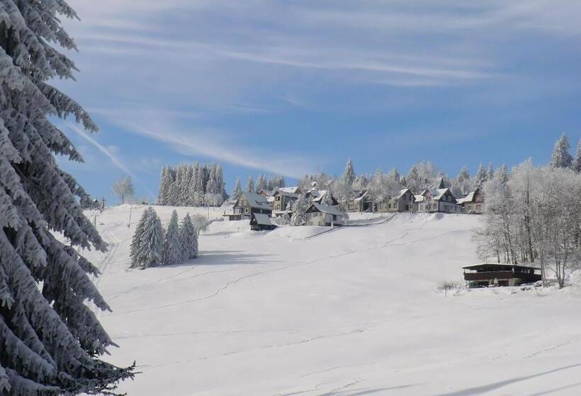 호텔 Zum Schneekopf Garni