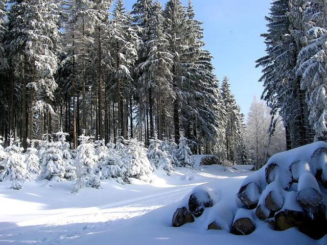 호텔 Zum Schneekopf Garni