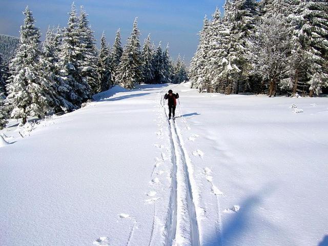 호텔 Zum Schneekopf Garni