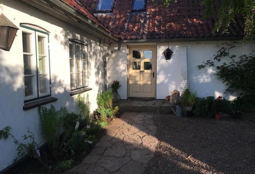 Hørhaven B&b