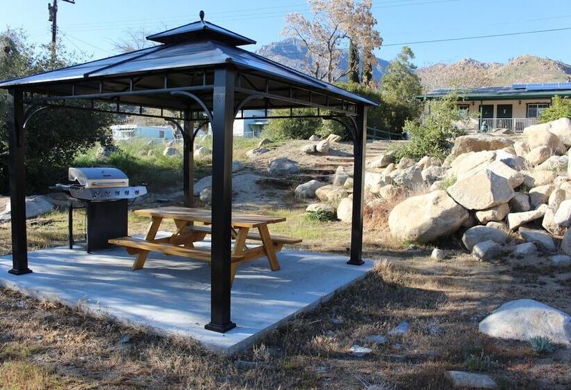 汽车旅馆 Barewood Inn And Suites