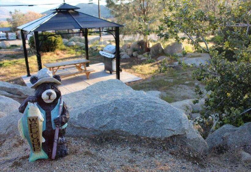 汽车旅馆 Barewood Inn And Suites