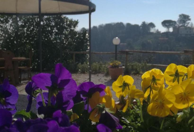 Olivia B&b And Apartment