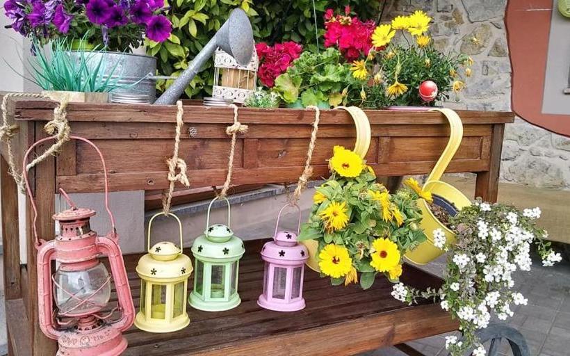 Olivia B&b And Apartment