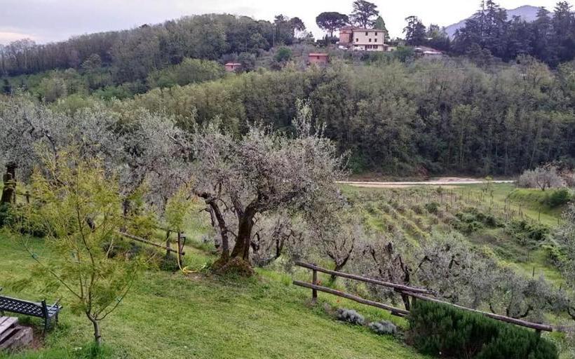 Olivia B&b And Apartment