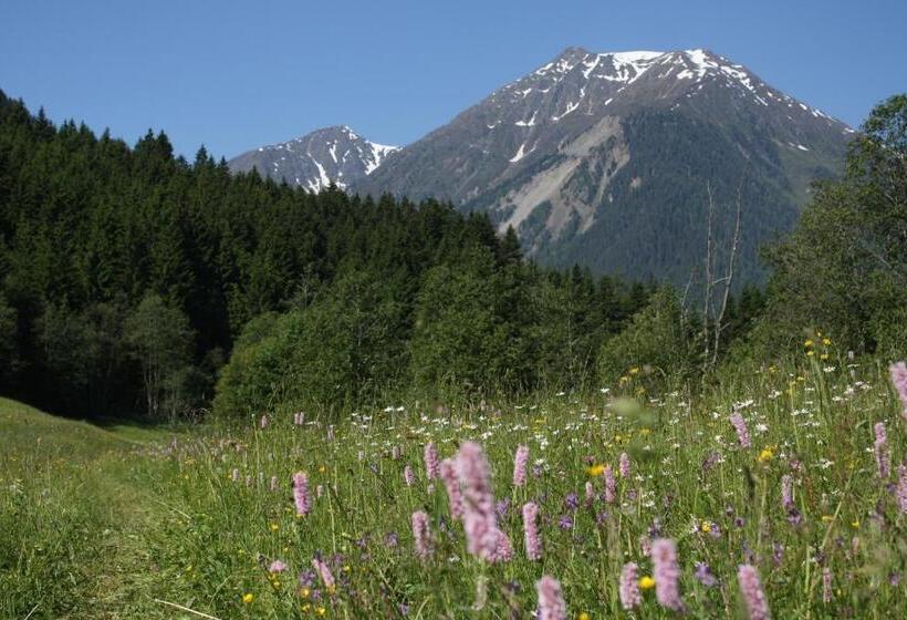 פנסיון Adlerhorst