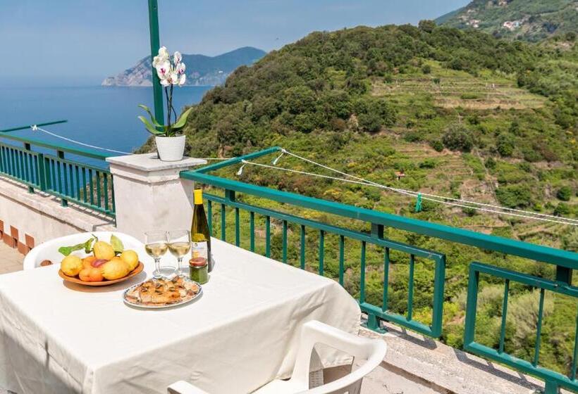 膳宿费 Affittacamere Arbasia De Ma, Terre Marine