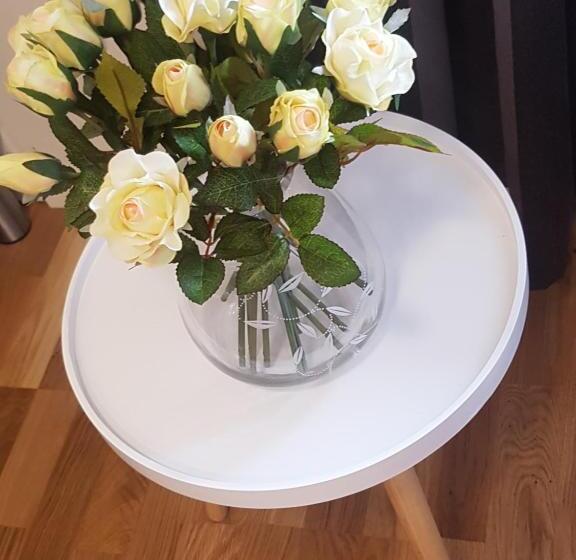 פנסיון Alkoven Logi