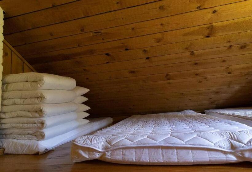 פנסיון Aurantola