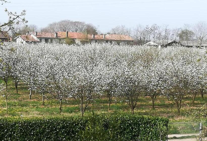 펜션 Borgo Barucchella