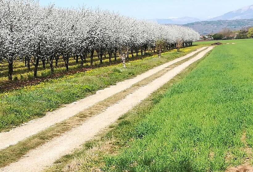 펜션 Borgo Barucchella