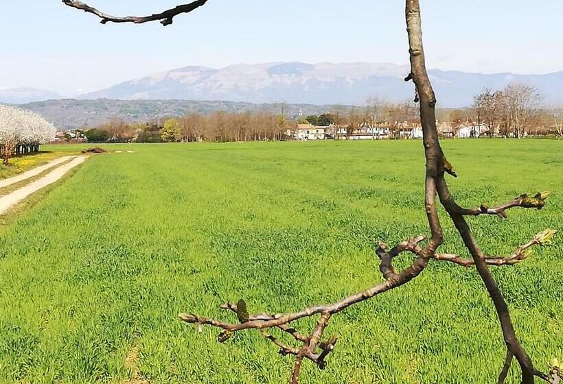 펜션 Borgo Barucchella