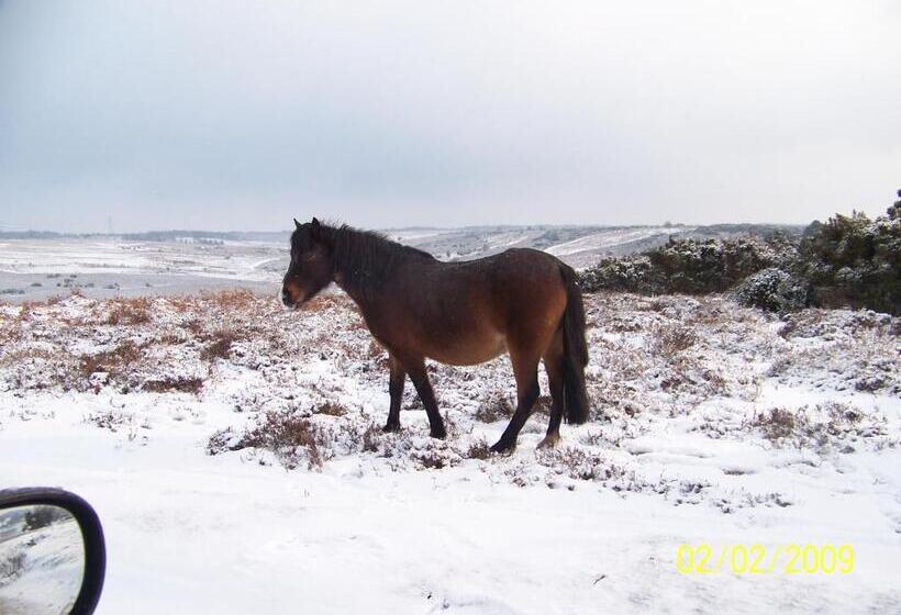 膳宿费 Cypress Log Cabins Accommodation