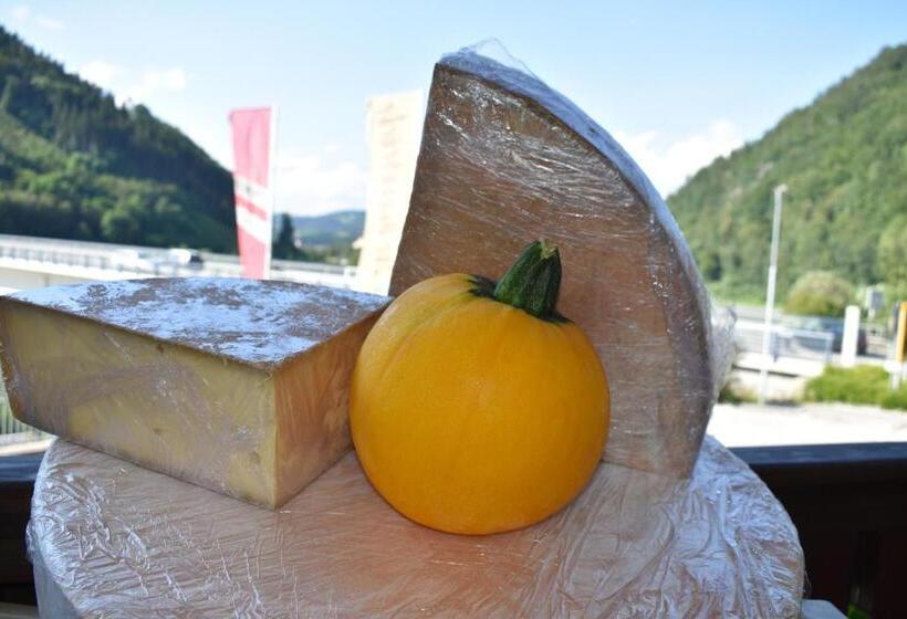 بنسيون Gasthof Zur Donaubrücke