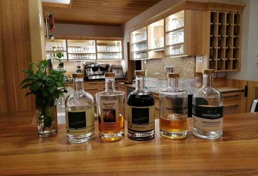 بنسيون Gasthof Zur Donaubrücke