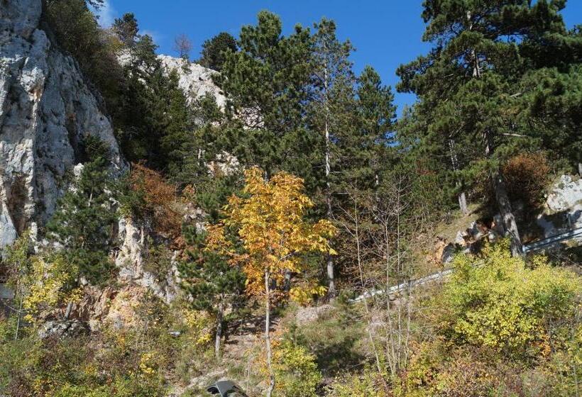 פנסיון Haus Bergblick