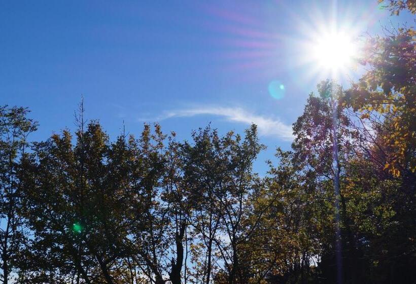 פנסיון Haus Bergblick