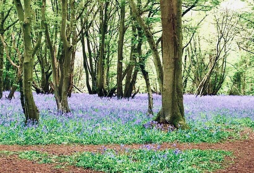 Пансион Ivy Todd Cottage