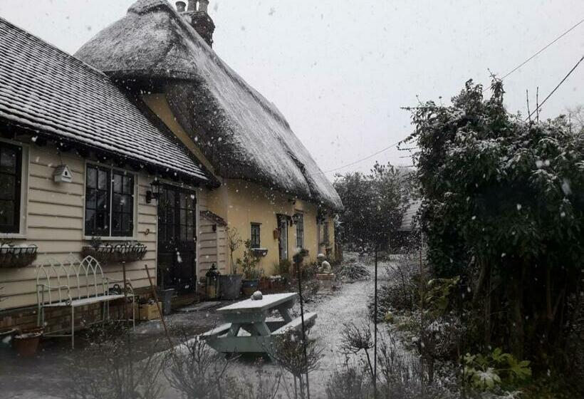 Пансион Ivy Todd Cottage