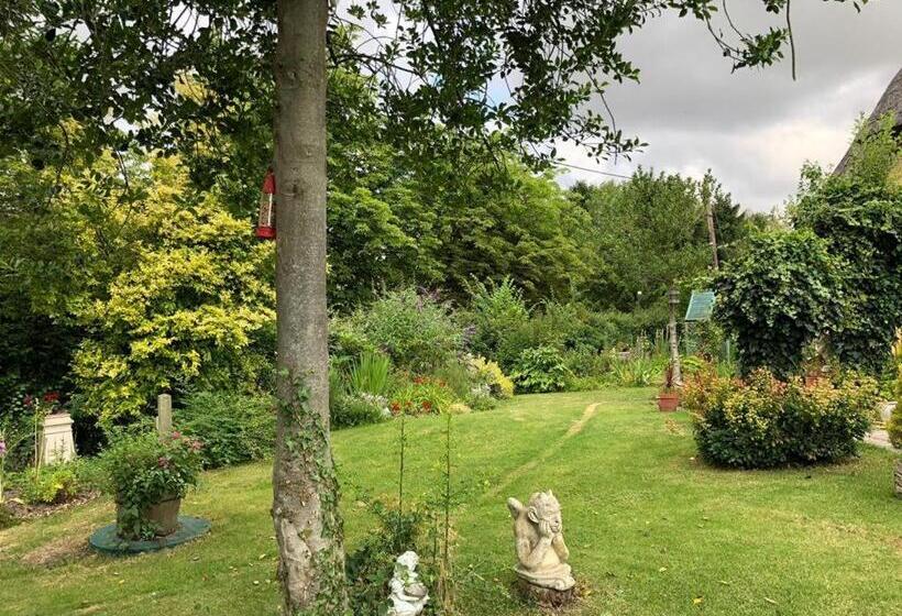 Пансион Ivy Todd Cottage