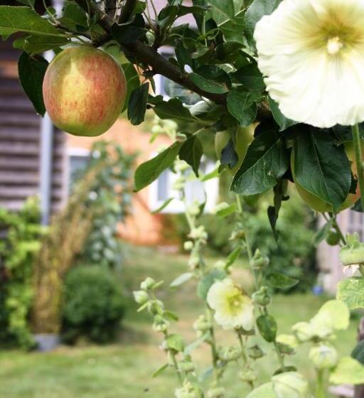 펜션 Landhaus Martens