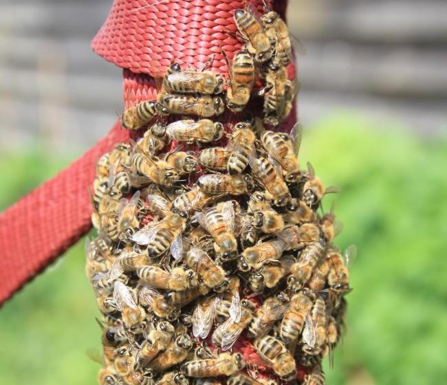 펜션 Landhaus Martens