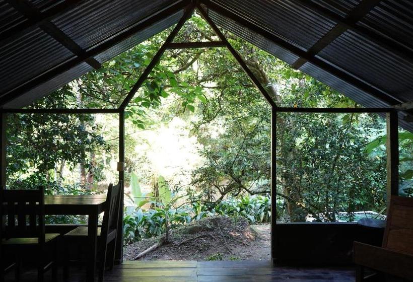 بنسيون Los Mineros Guesthouse