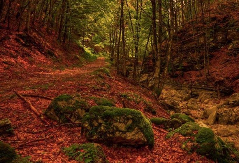 膳宿费 Piccolo Fiore