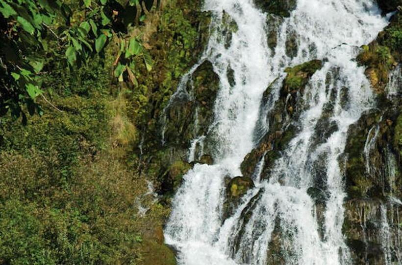 膳宿费 Piccolo Fiore