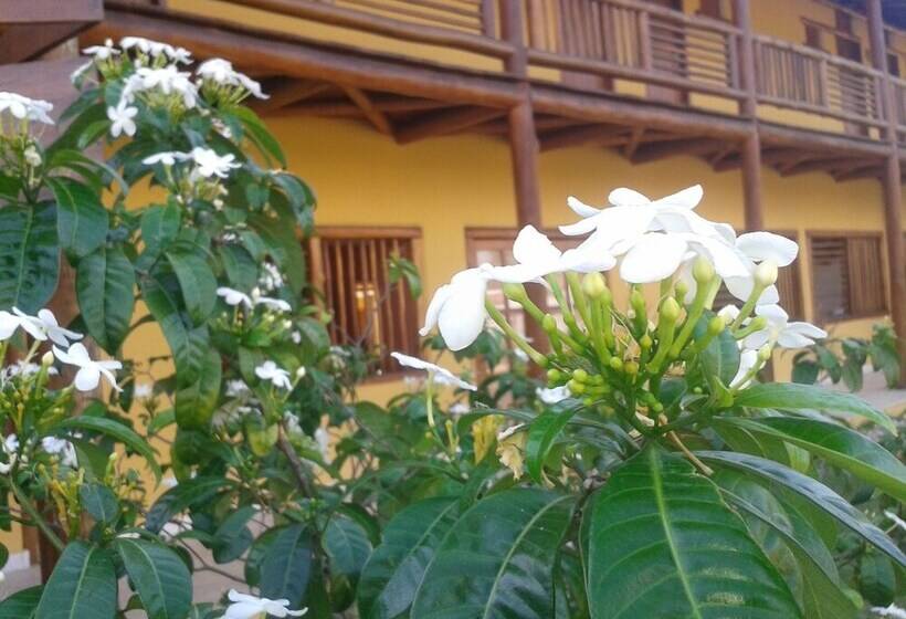 פנסיון Pousada Angá