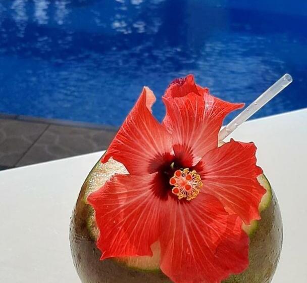 Пансион Pousada Florais Do Atlântico