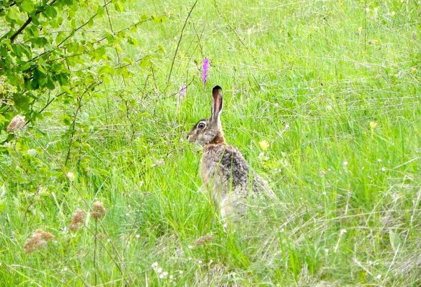 膳宿费 Rifugio Monte Baldo
