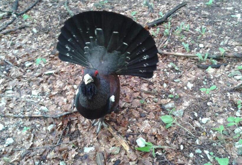 膳宿费 Rifugio Monte Baldo