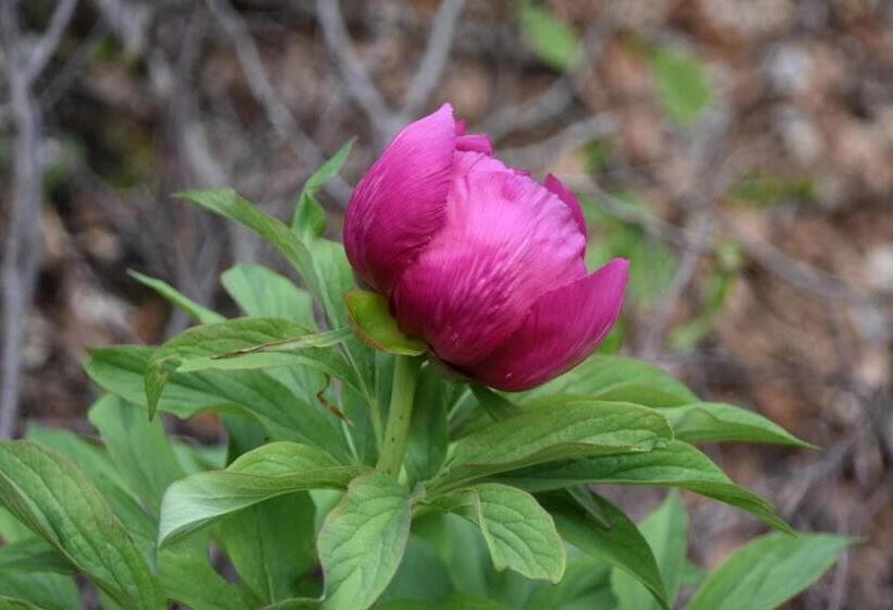 膳宿费 Rifugio Monte Baldo