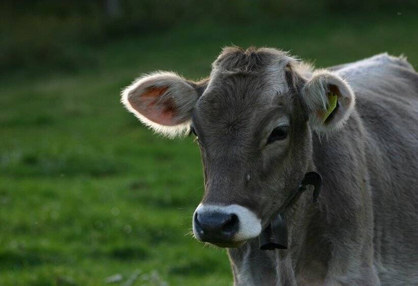 膳宿费 Rifugio Monte Baldo