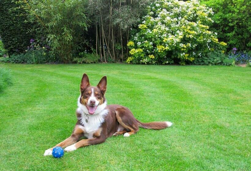 펜션 St Jude's Bed & Breakfast