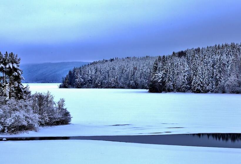 ペンション The Green House Guesthouse Sunnemo