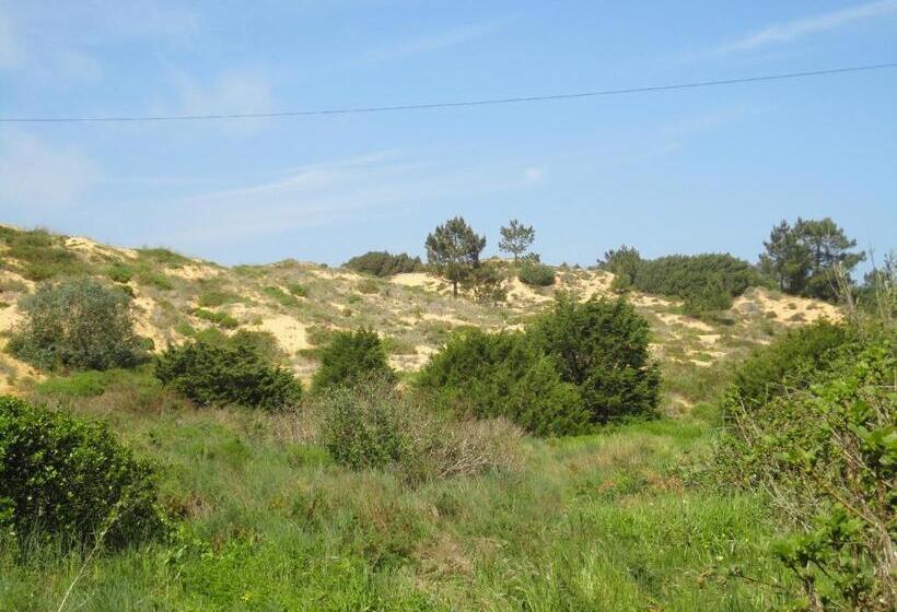 펜션 Vicentina Rooms By Casas Do Alentejo