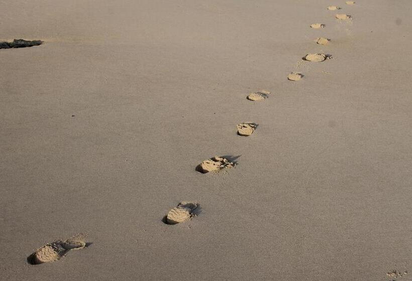 펜션 Vicentina Rooms By Casas Do Alentejo