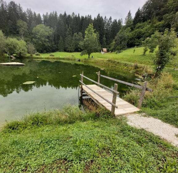 Pension Landhaus Ingrid B&b