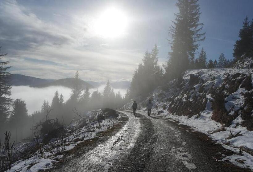 Pension Landhaus Ingrid B&b