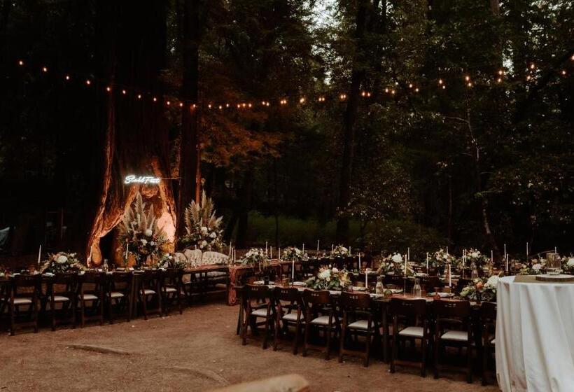 Redwoods River Resort & Campground