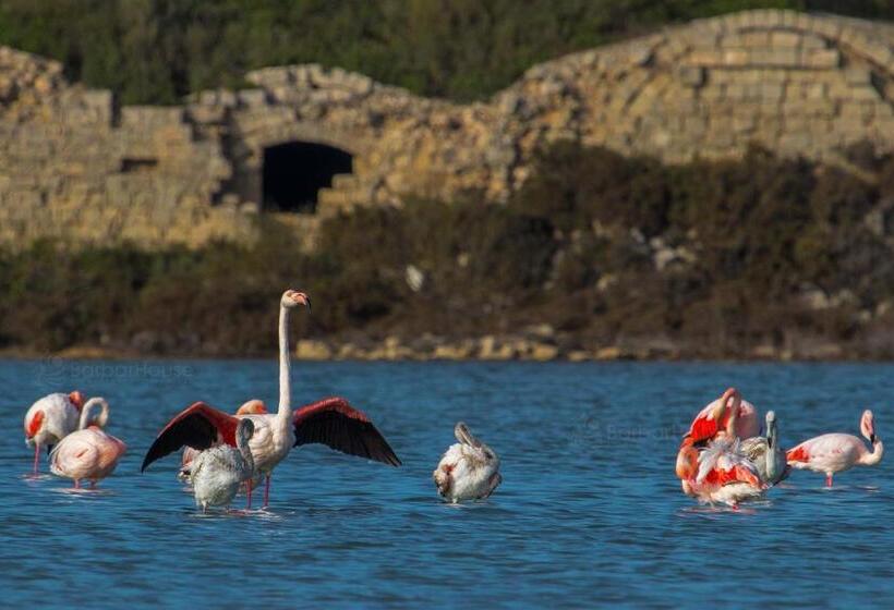 Residence La Scogliera By Barbarhouse