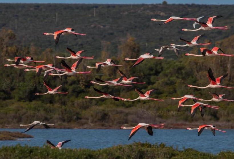 Residence La Scogliera By Barbarhouse