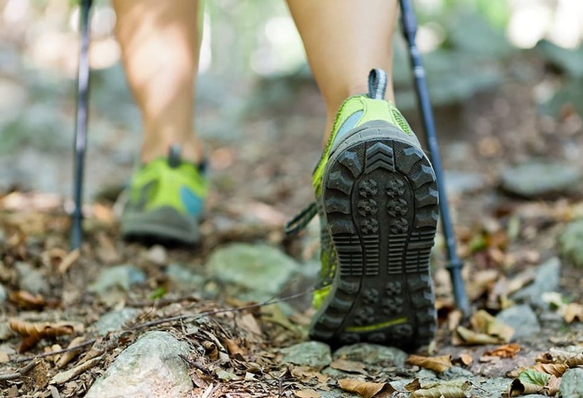 リゾートホテル Cottages At Fair Haven Cove